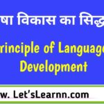 भाषा विकास क्या है | Bhasha Vikas Kya hai | Principles of language development